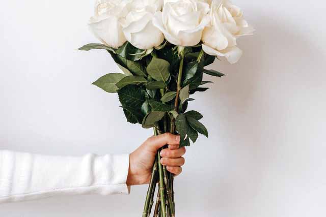 Floristería para Tanatorio